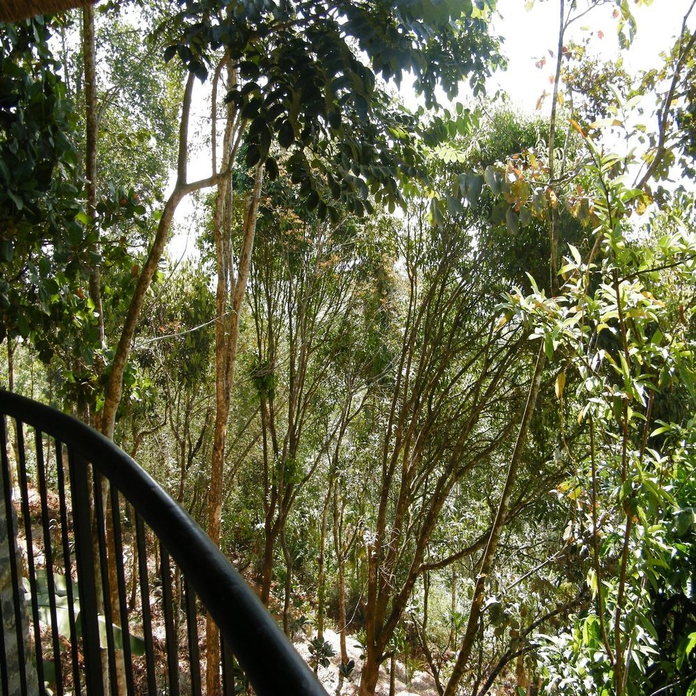 Poetree Thekkady Hotel Exterior foto